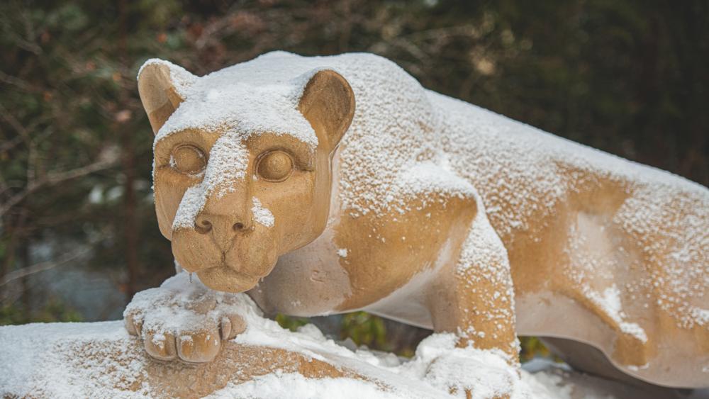 'Course Insights' now available to all instructors at Penn State