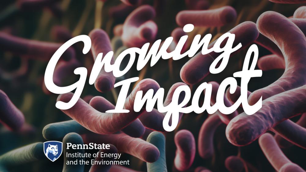 ‘Growing Impact’ discusses environmental contaminants, human health