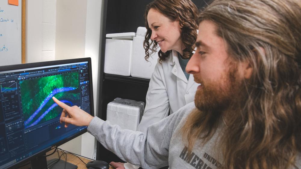$3M NIH grant to support research on memory and exaggerated fear responses