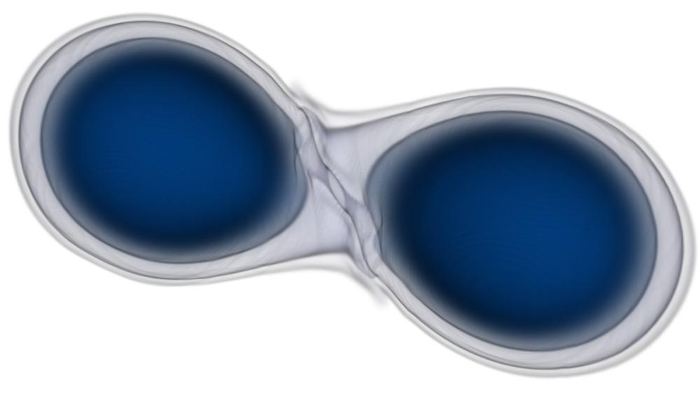 New grants to support neutron star research and undergraduate exchange program