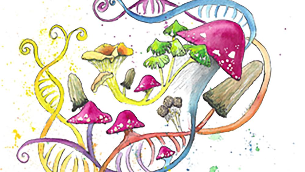 Connection among gut fungi, genetics and disease risk in humans ...