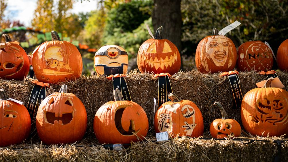 Things to Do at Penn State: Oct. 15-22