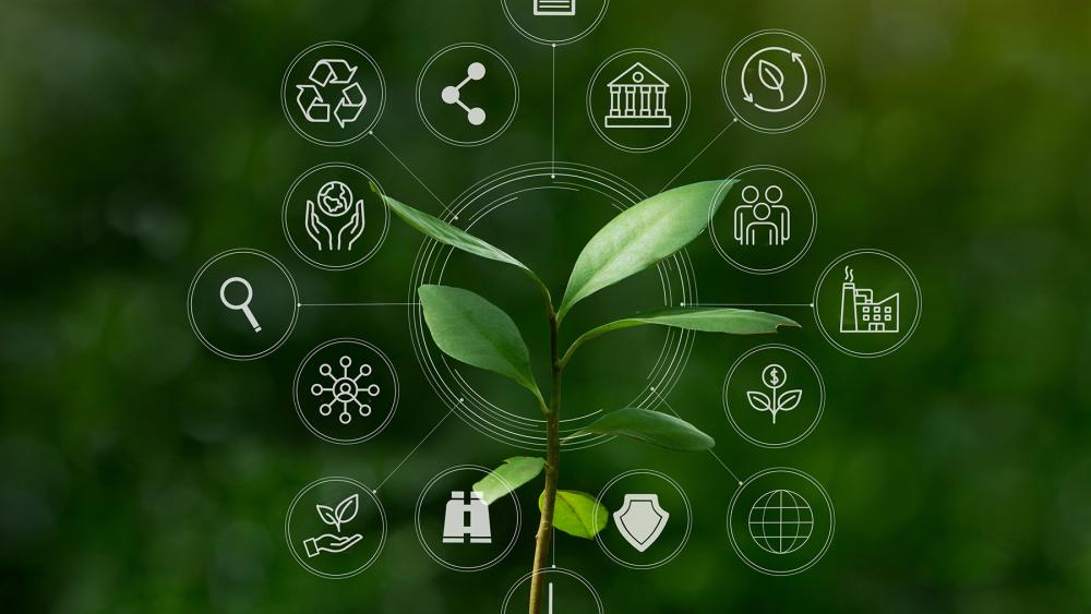 M NSF grant to fund sustainable materials design graduate training program