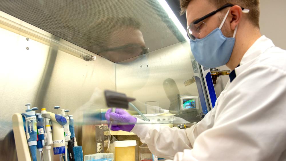 Biomedical Engineering establishes new discipline options for degree ...