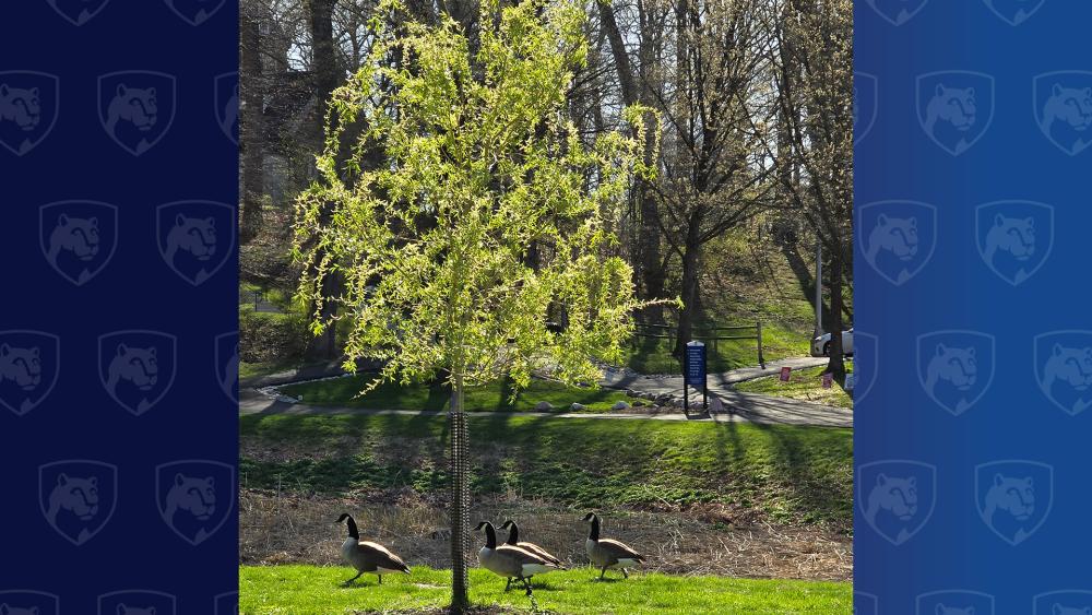 Student career readiness grows alongside Abington's arboretum accreditation