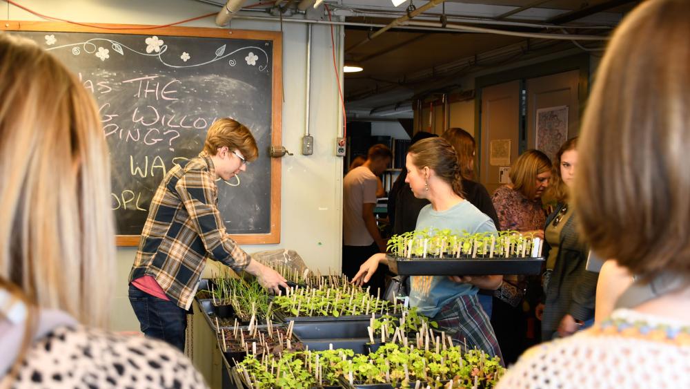 Student Farm and Food Systems to host annual Summer Plant Sale, July 23-24