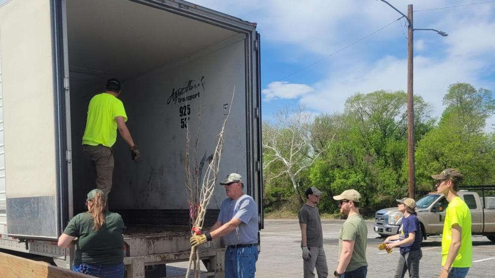 Bare root, big impact: Penn State Extension helps communities plant trees