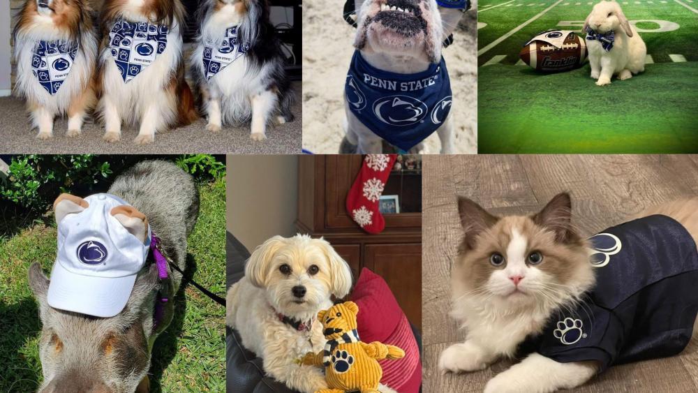 Social Life: Penn State pets