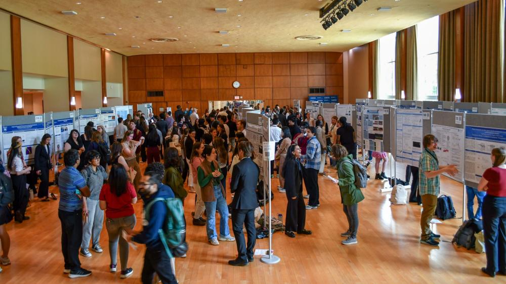 Undergraduate Exhibition featured work of more than 300 students