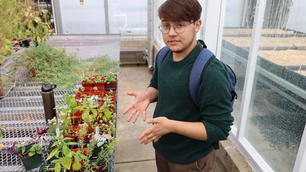Students Teaching Students seeks undergraduate instructors