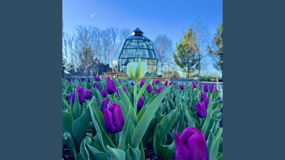 Top pictures from the Penn State Today 2026 spring photo contest