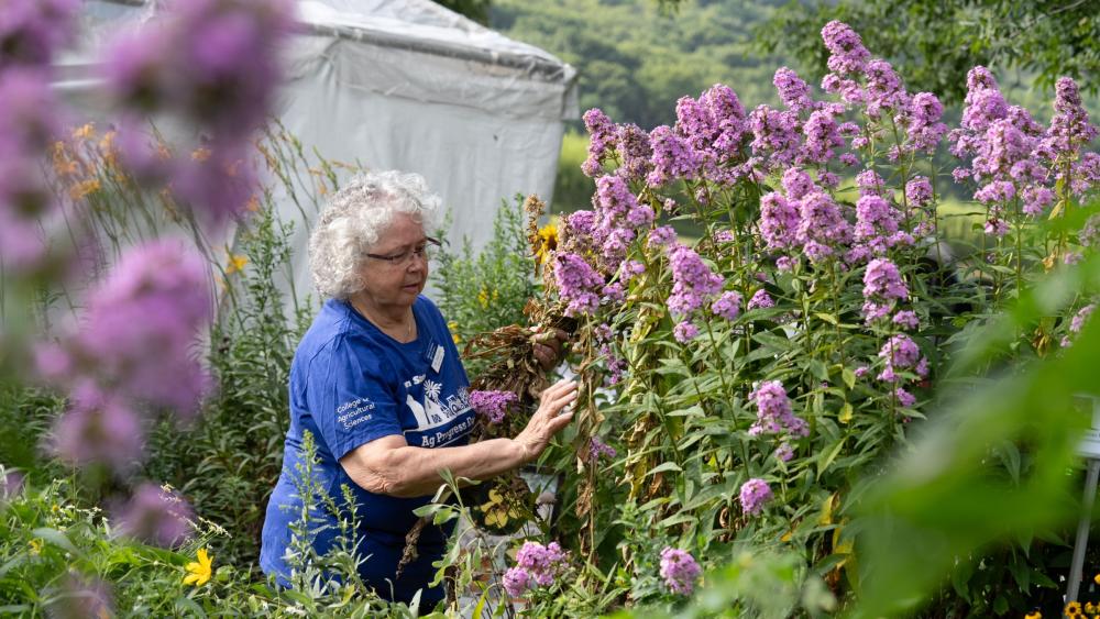 Penn State Master Gardeners to share gardening expertise at Ag Progress Days