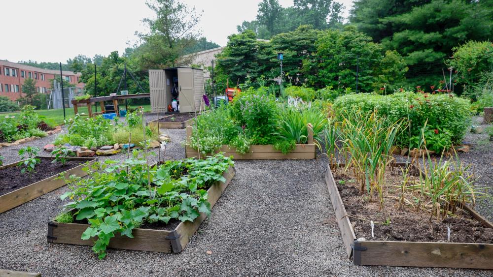 Center for Social Impact secures internship grant for 2026-27 academic year