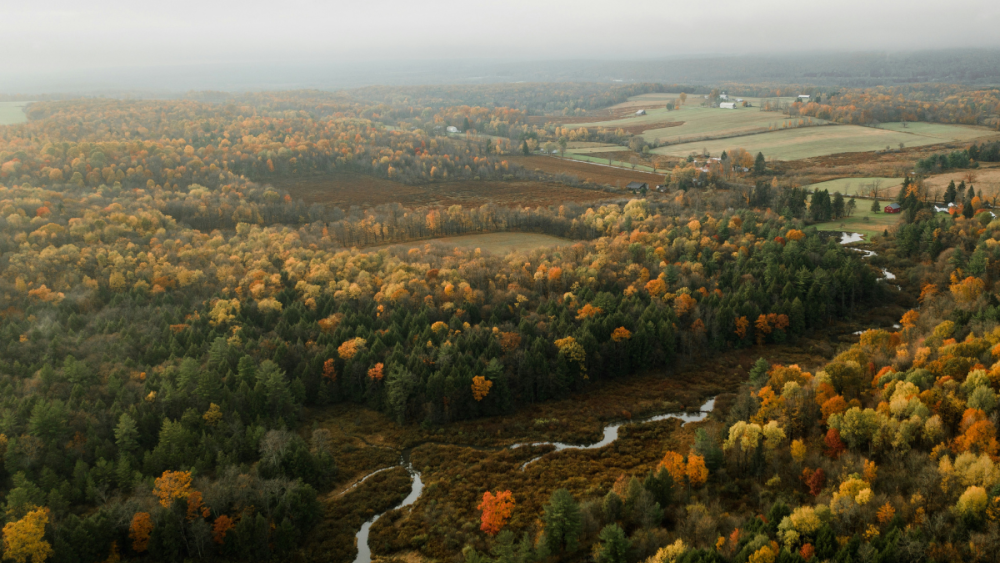 USDA grant to help uncover opportunities and challenges facing rural governments