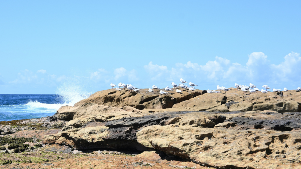 Ocean heatwaves linked with poorer health among children in coastal communities