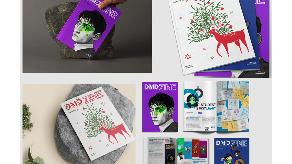 Using assessment to enhance the Digital Arts certificate program’s ...