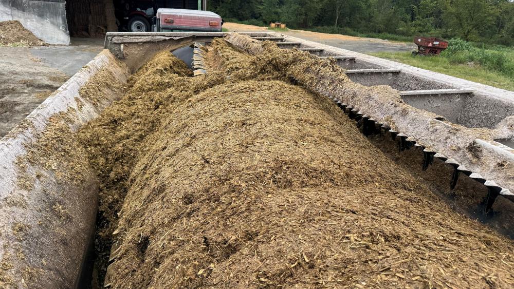 Penn State dairy experts help farm improve production and profits
