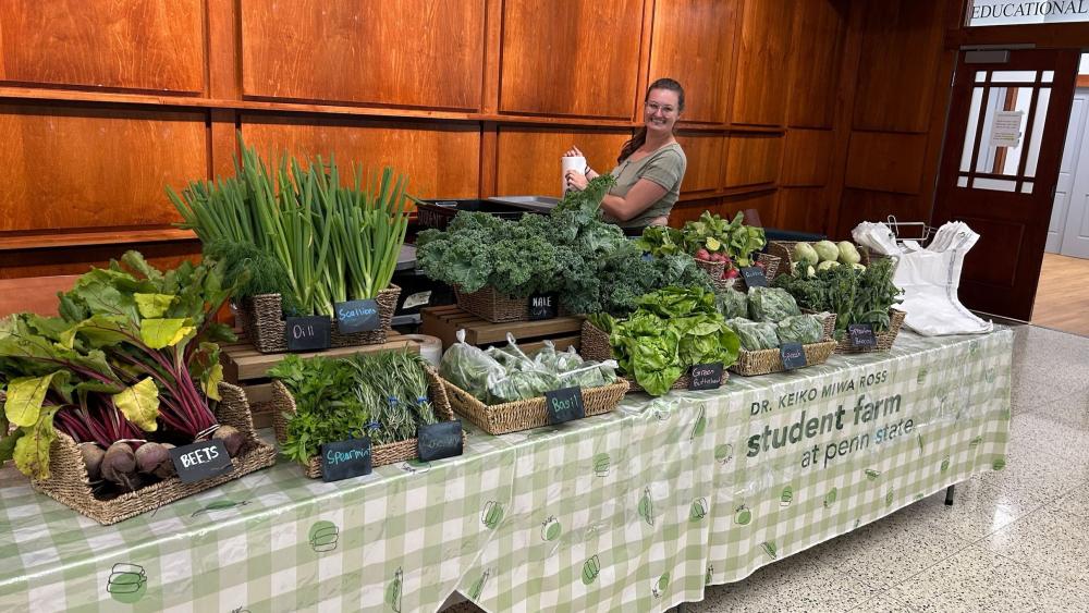 Feed the People market stand returns this fall