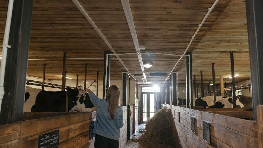 Q&A: Upcoming conference continues to connect women across the dairy industry