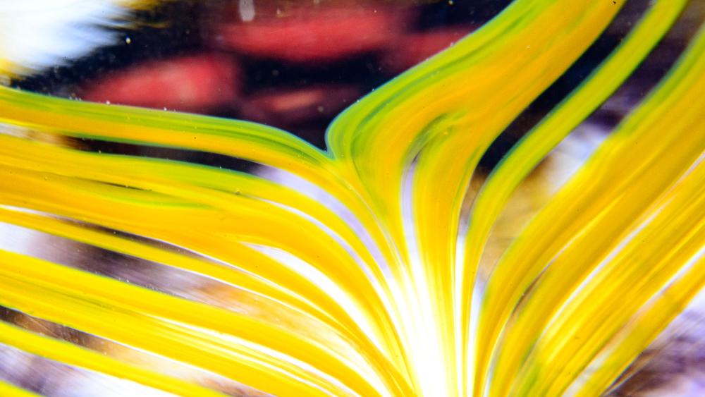 Pantano reflects on past, future of materials science Penn State