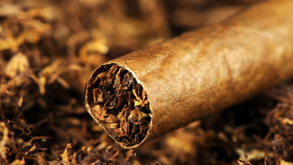 How Much Nicotine Is in a Cigarette, Cigar, and E-Cigarette?