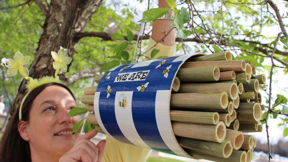 Environmental science students complete sustainability projects | Penn ...