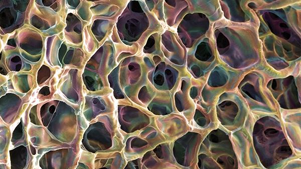 Material Science Visuals Submissions now open for annual Materials Visualization Competition ...