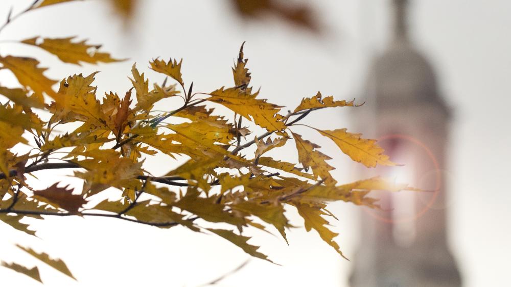 Rates announced for 2025-26 Student Health Insurance Plan