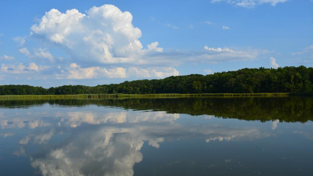 Bay in the Balance explores agriculture as a solution to restore Chesapeake Bay