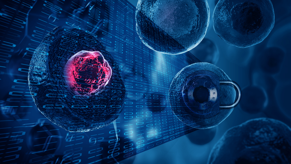 Better security achieved with randomly generating biological encryption ...
