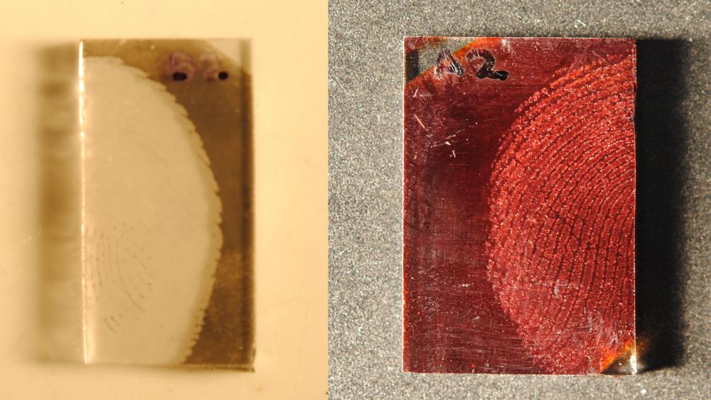 Computer programs improve fingerprint grading Penn State University