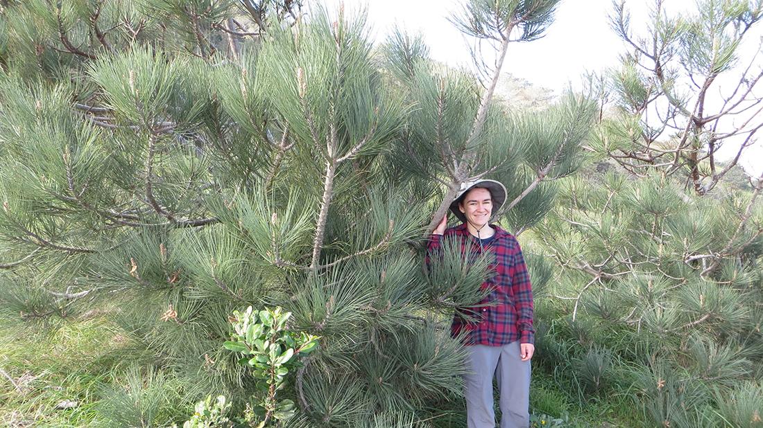 student among trees