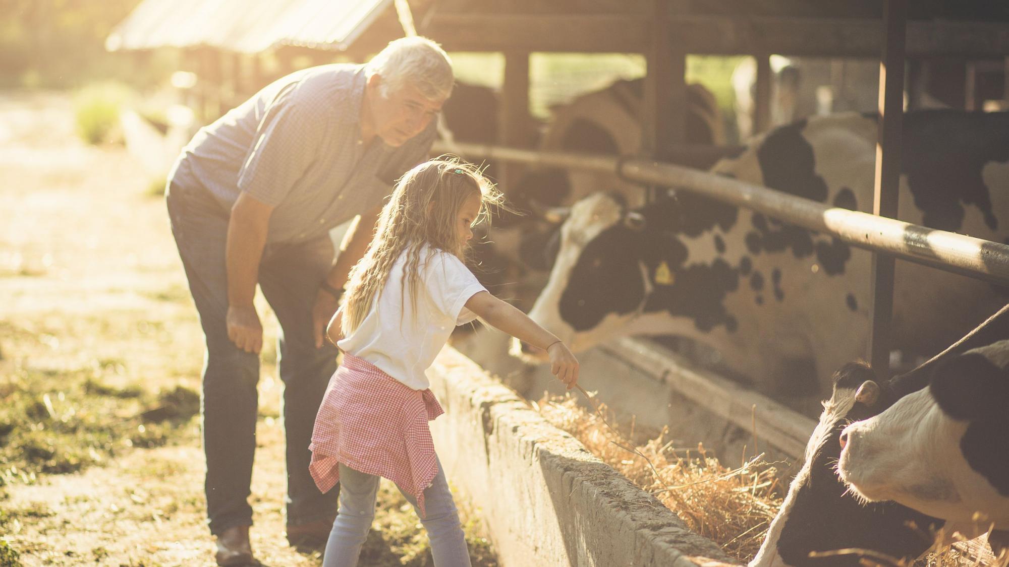 child on farm