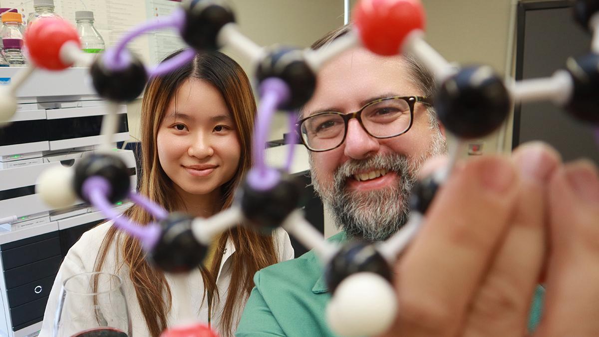 Two people looking through a plastic representation of a chemical compound