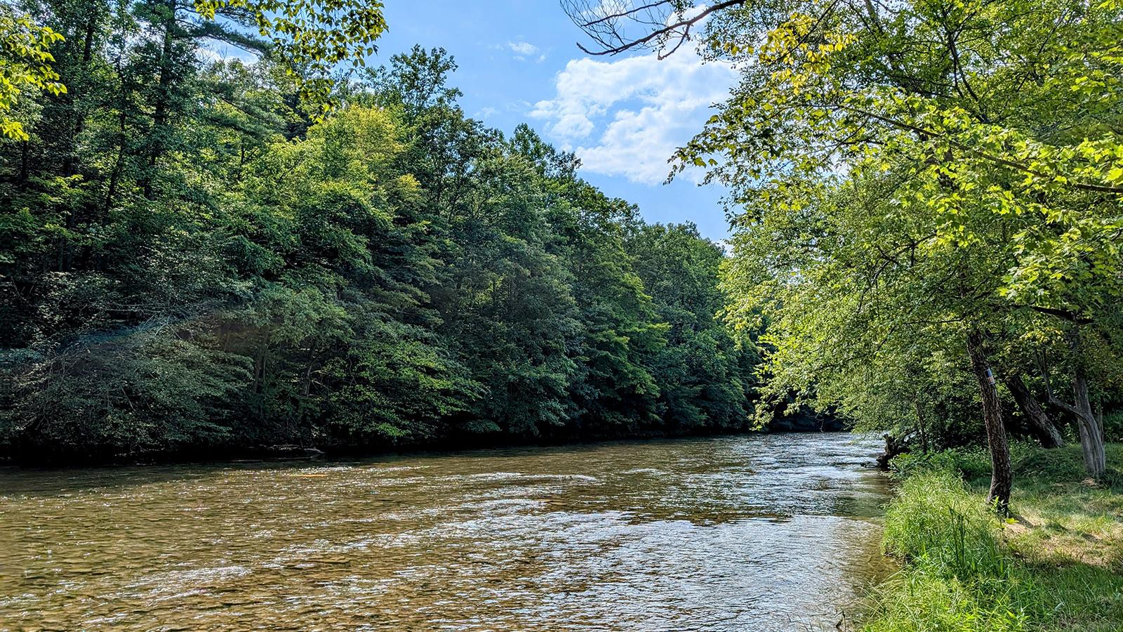 Green trees line the shore of Beech Creek under a blue sky
