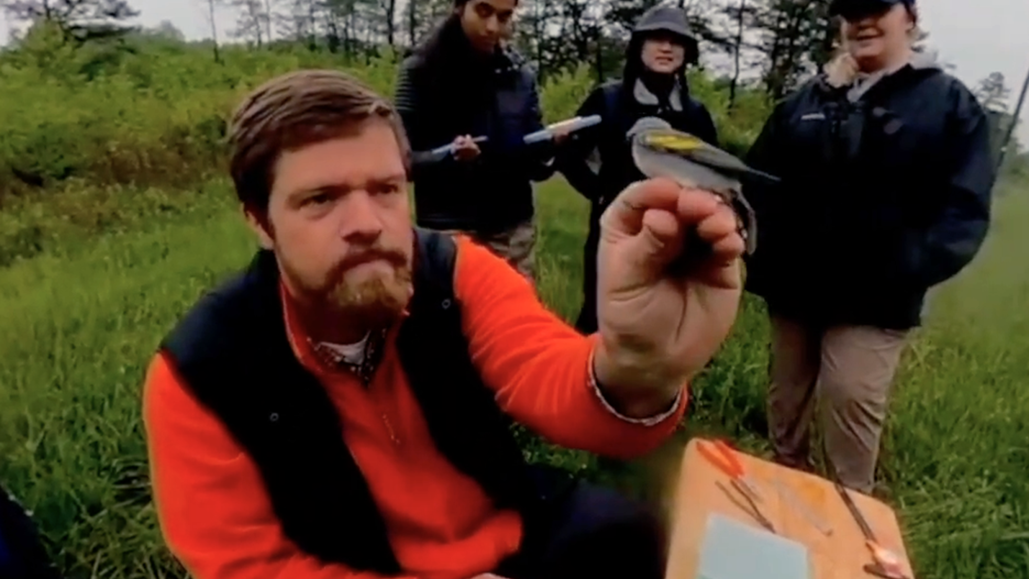screenshot of VR experience showing person holding bird