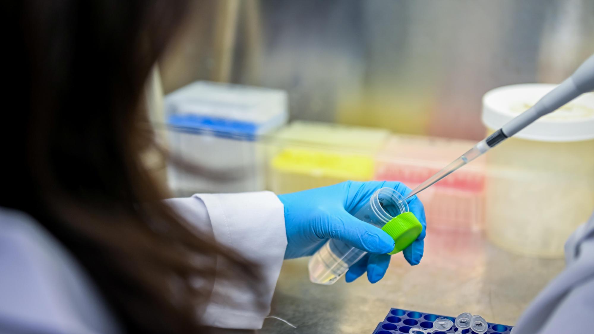 A gloved researcher uses a pipette to transfer liquid into a lab sample tube on a workbench.