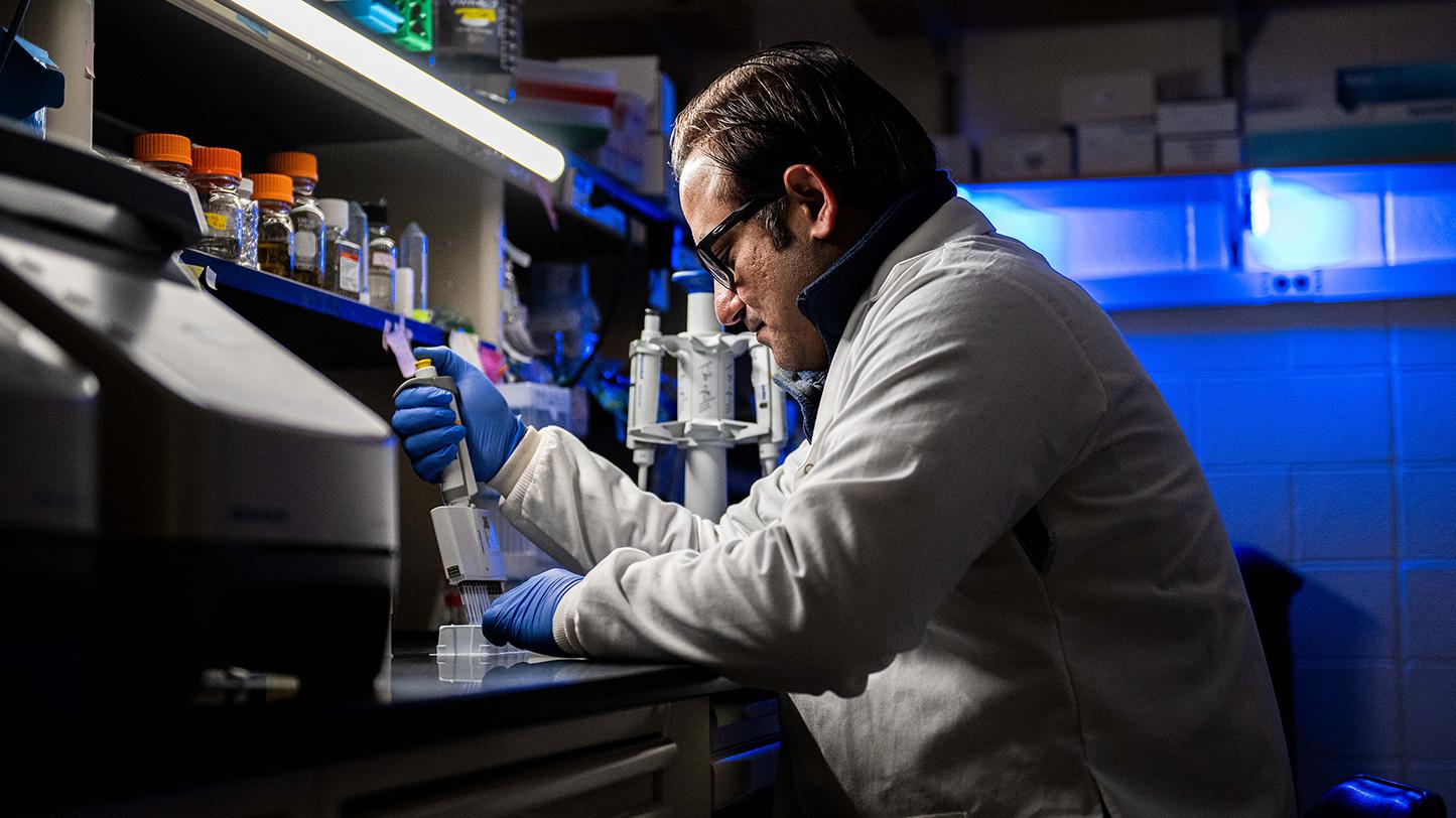 Resercher in lab coat working at lab bench with multichannel pipette.