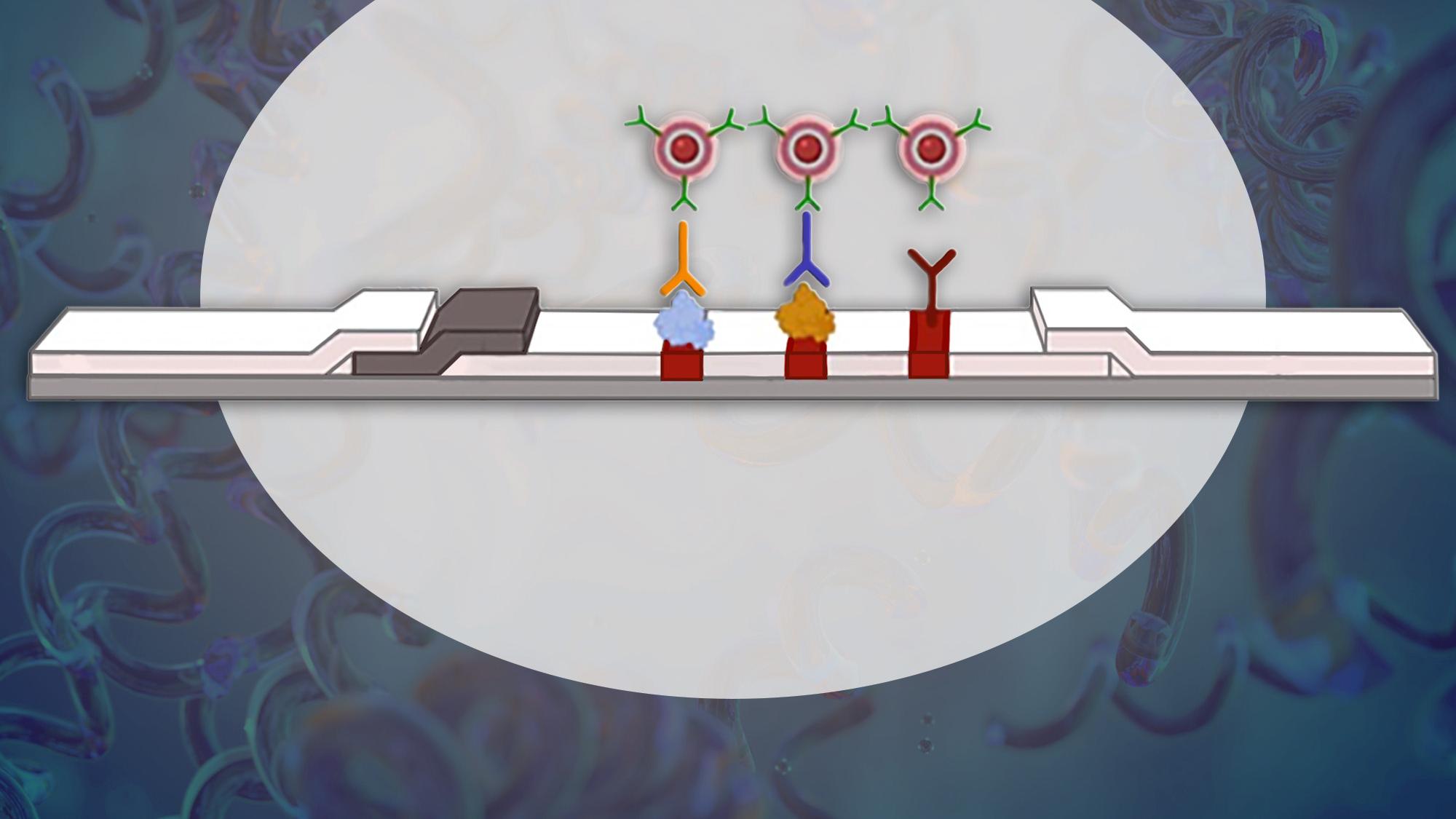 a graphic rendering of pilot rapid test for syphilis on a background graphically rendering bacterium