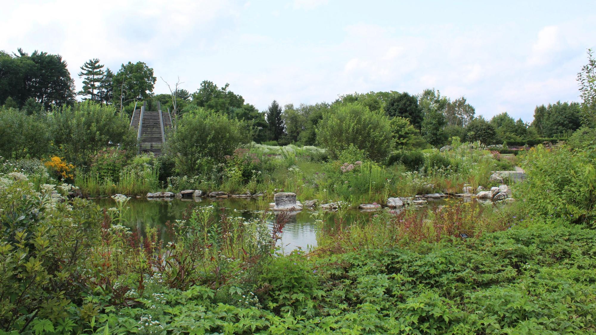 Plants and flowers surrounding a large pond