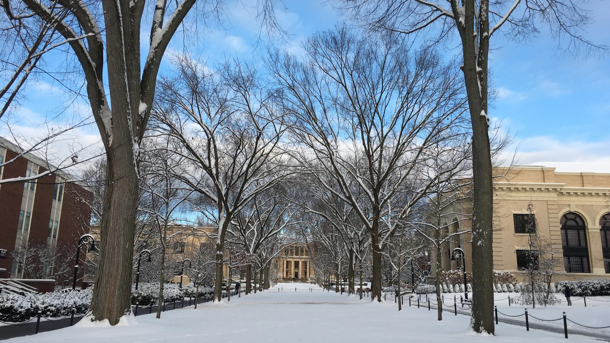 Snow covers Penn State mall