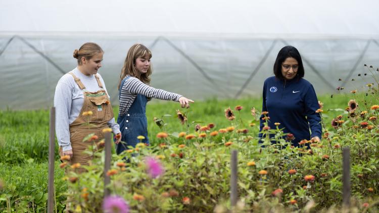 Neeli picks small tomatoes off a vine while Vancie looks on. 