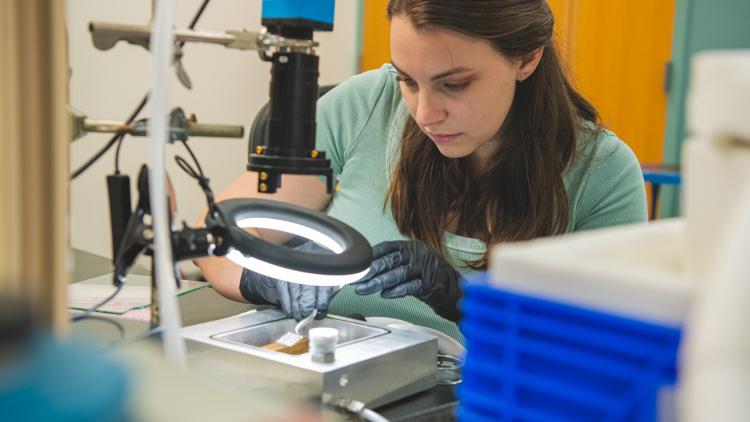 Researcher studies water droplets under a light