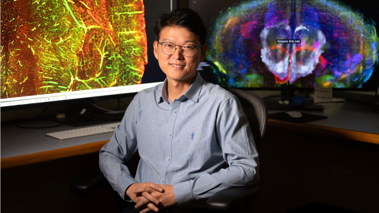 Person sitting in office chair with images of colorful brain scans in the background