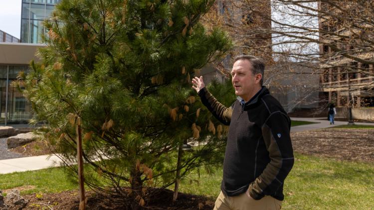 Tom Flynn points to the Great Tree of Peace. 