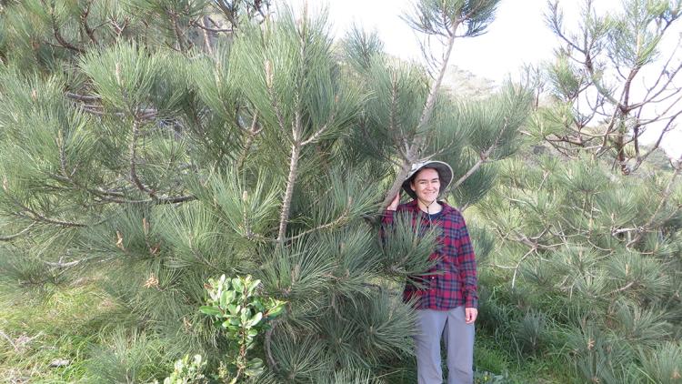 student among trees