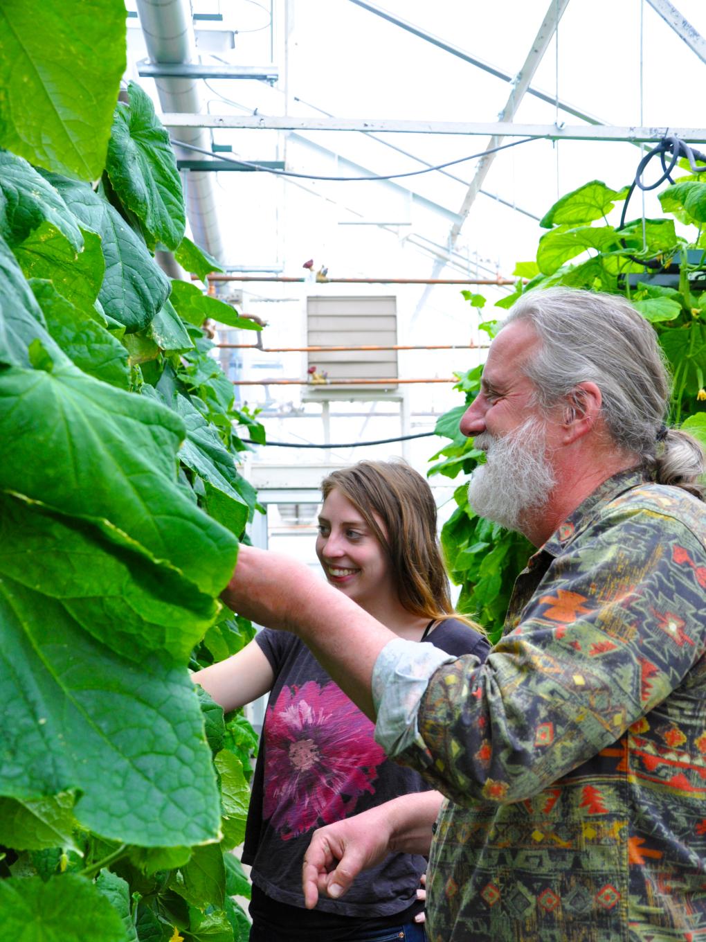 Robert Berghage and student care for plants in greenhouse
