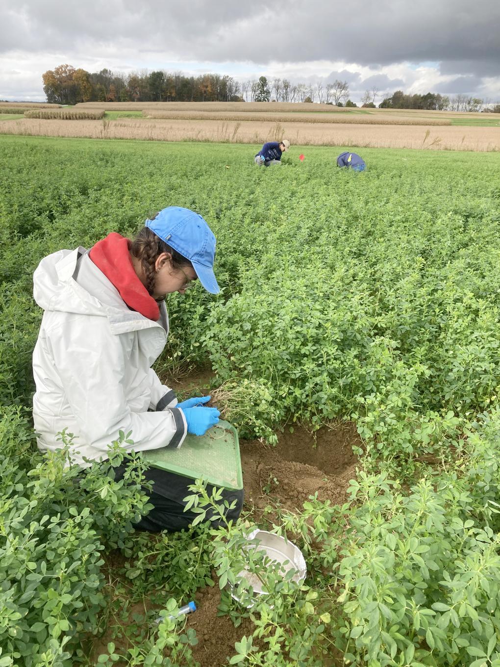 student in field