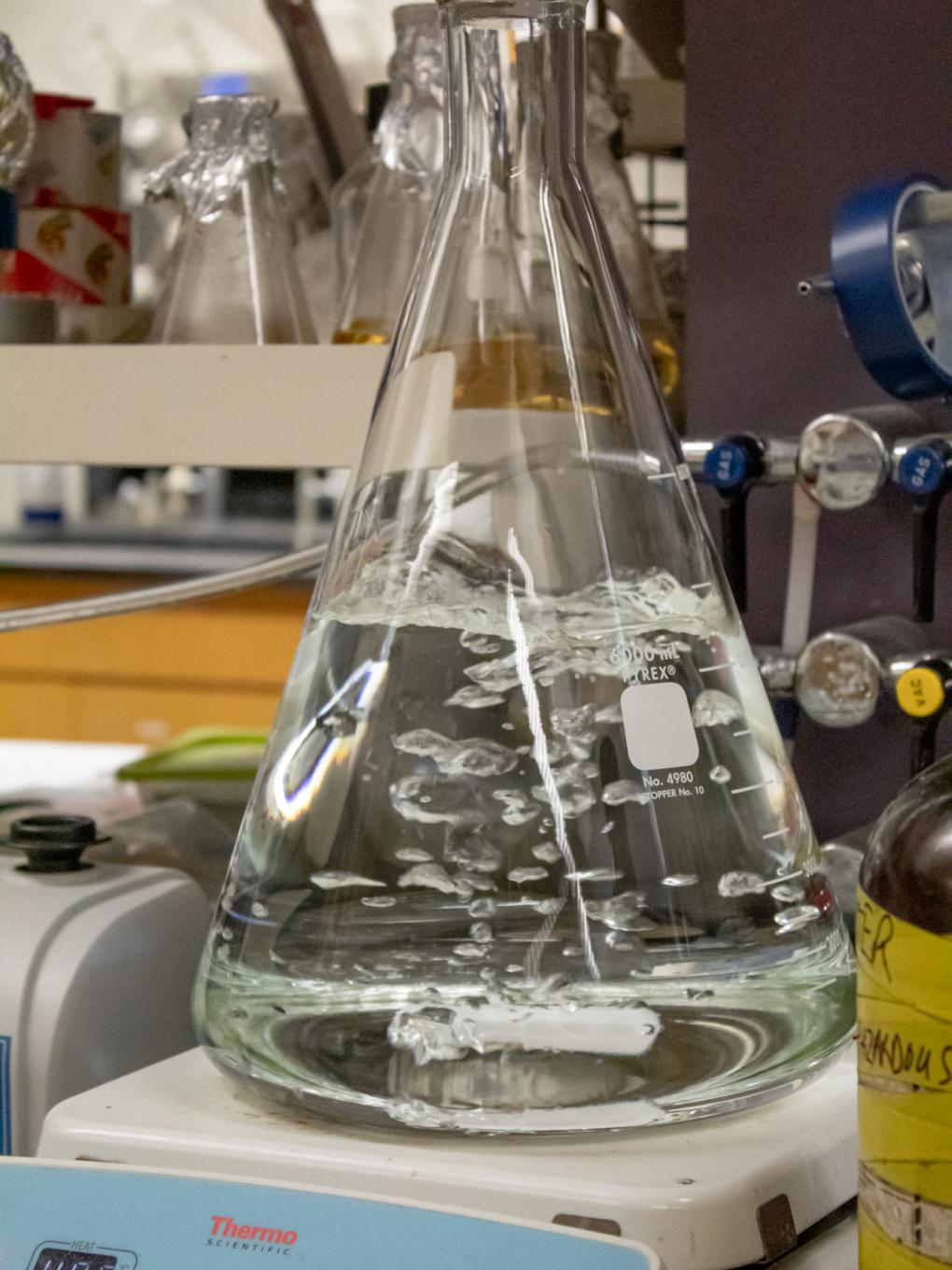 Lab equipment at the 2024 Bioinorganic Workshop