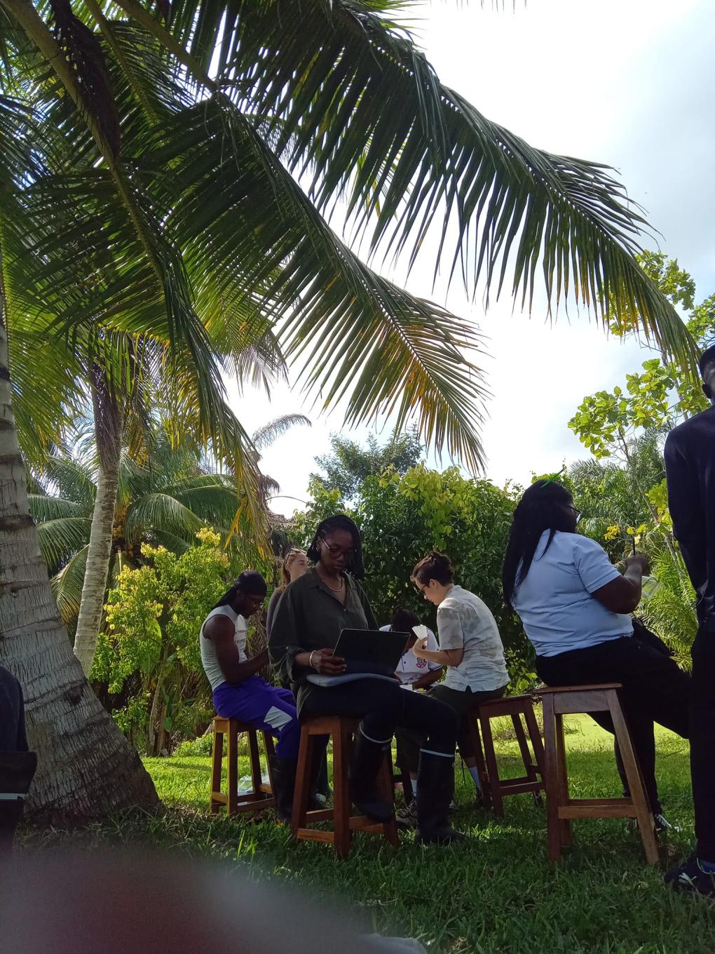 researchers record field data under palm tree